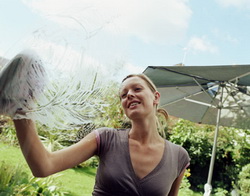 Window Cleaning FAQ
