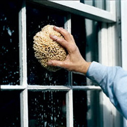 Window Cleaning Systems